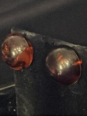 Faux Tortoise Chell Button Stud Earrings